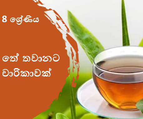 තේ තවානට චාරිකාවක්